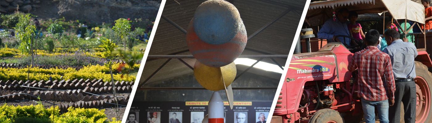 Morachi Chincholi is the best picnic spot in Pune. It is a beautiful place to spend time outdoors with peacocks and tamarind trees.