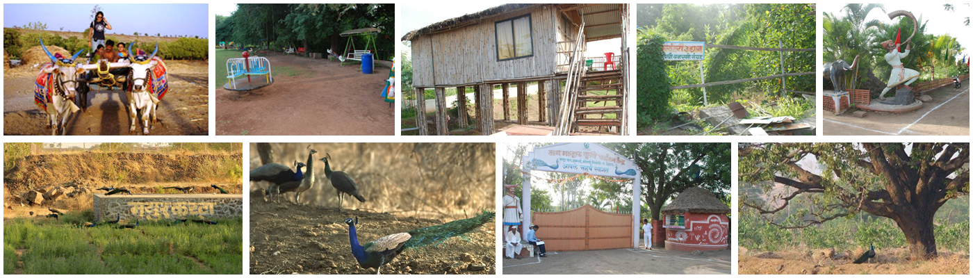 morachi chincholi is the best holiday places in pune