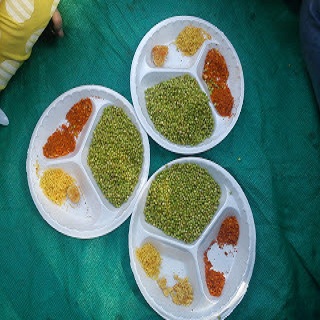 Bird Sanctuaries at morachichincholi is famous spot for watching migratory and domestic birds.