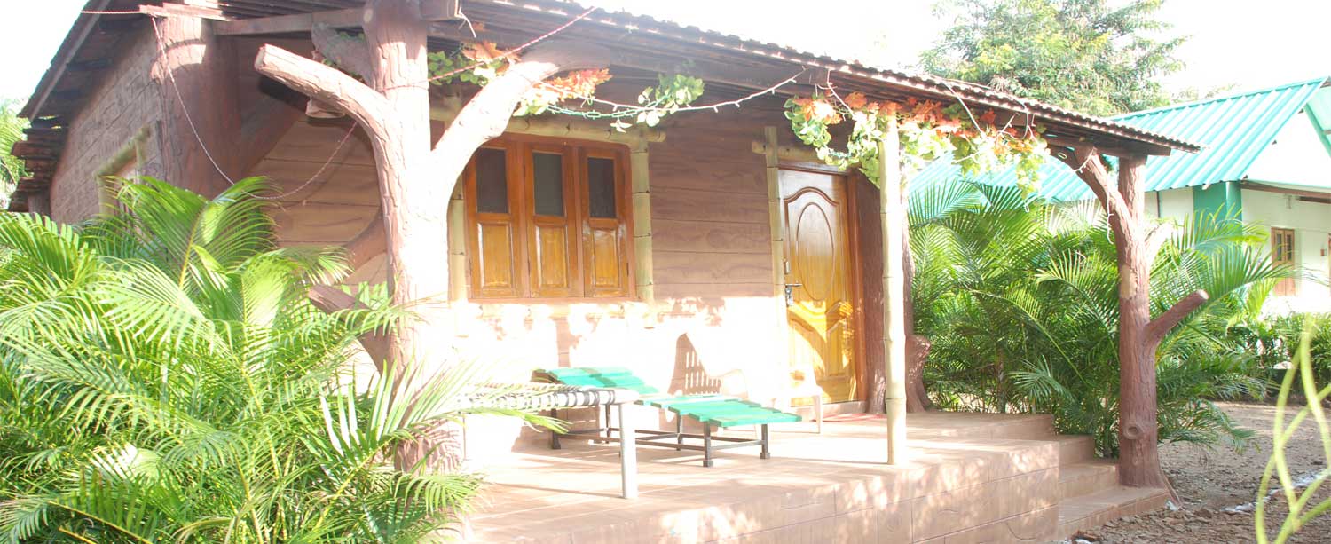 We feed different types of birds in the Bird Sactuary at Morachi Chincholi.